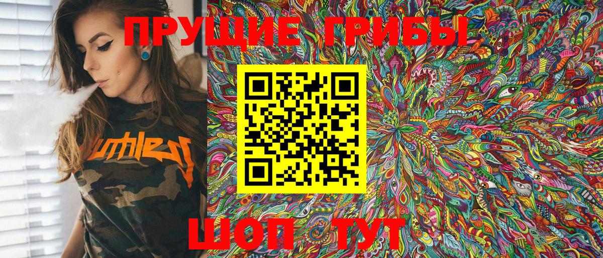 Качканар  Псилоцибиновые грибы Cubensis  Вход с VPN 